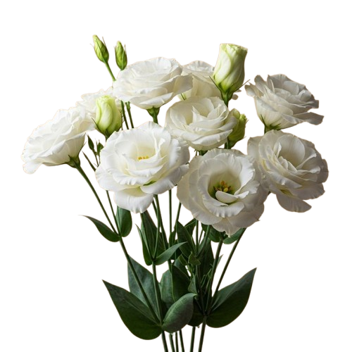 Valentine Bouquet
